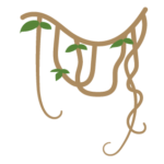lianes